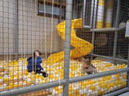 Rok szkolny 2024-2025 - 045 - Drugoklasiÿci na pierniczkowych warsztatach